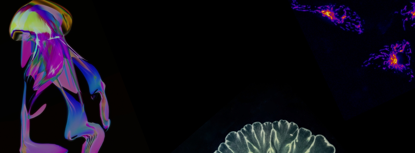 Banner Image - Circuits