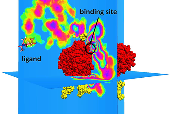 Multiscale Simulations